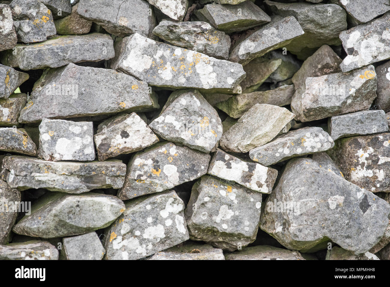 Mur en pierre sèche dans le parc national de Peak District, Staffordshire, Angleterre. Banque D'Images