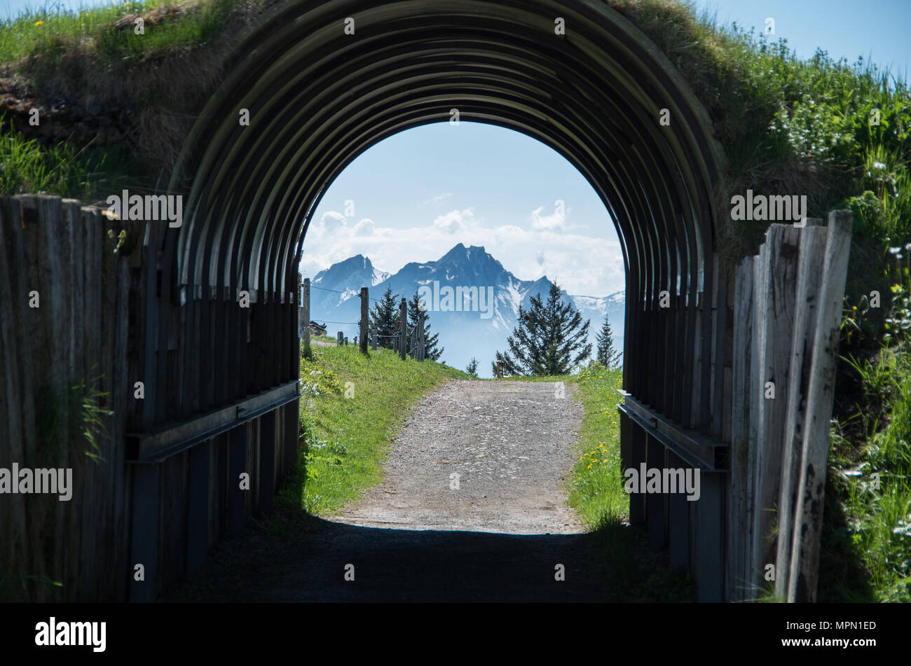 Le Mont Pilate dès de Mont Rigi via un tunnel à pied sur le sentier de fleurs Banque D'Images