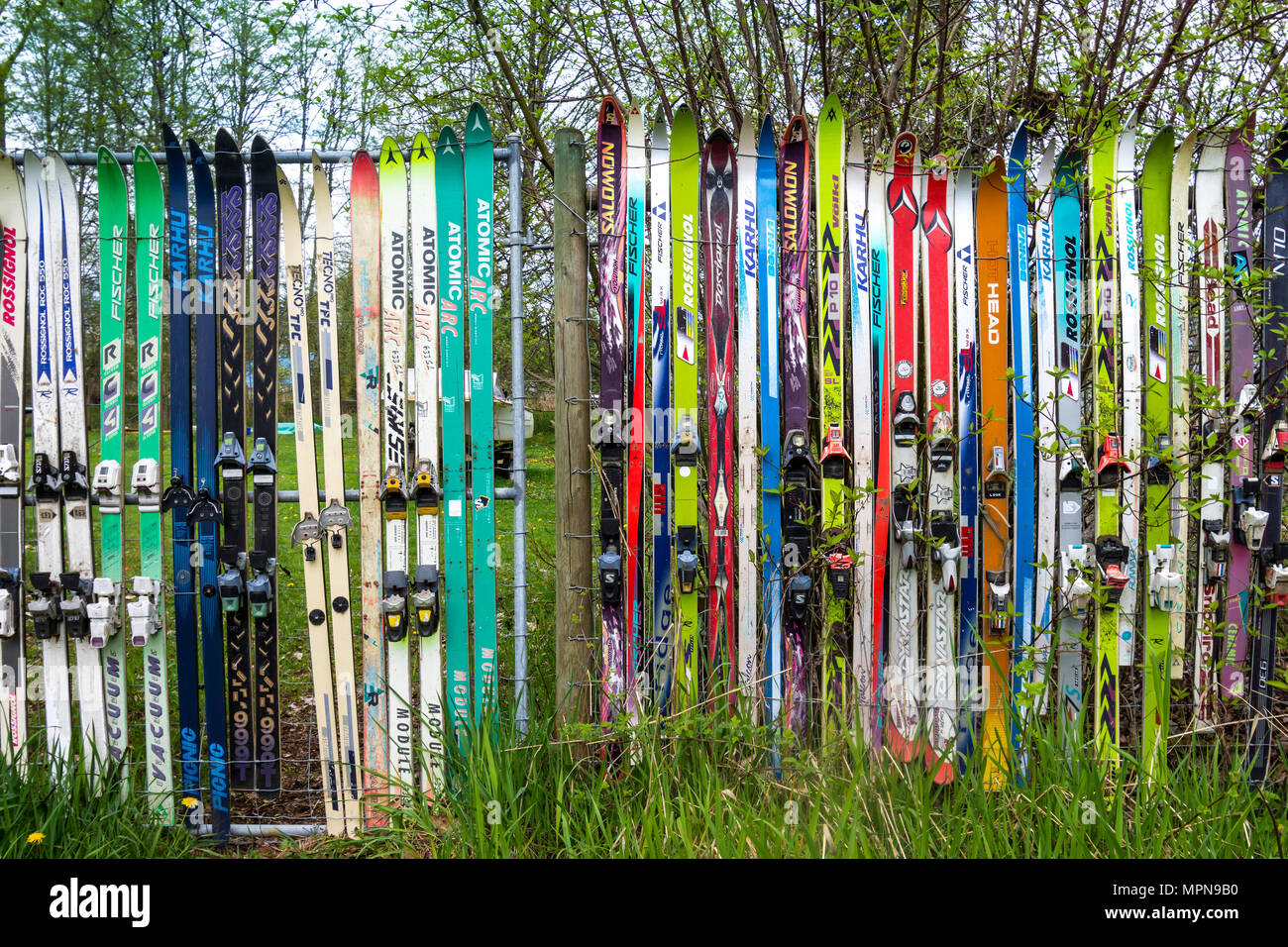 Jardin clôture fabriqués à partir de paires de skis - Cumberland, British Columbia, Canada. Banque D'Images