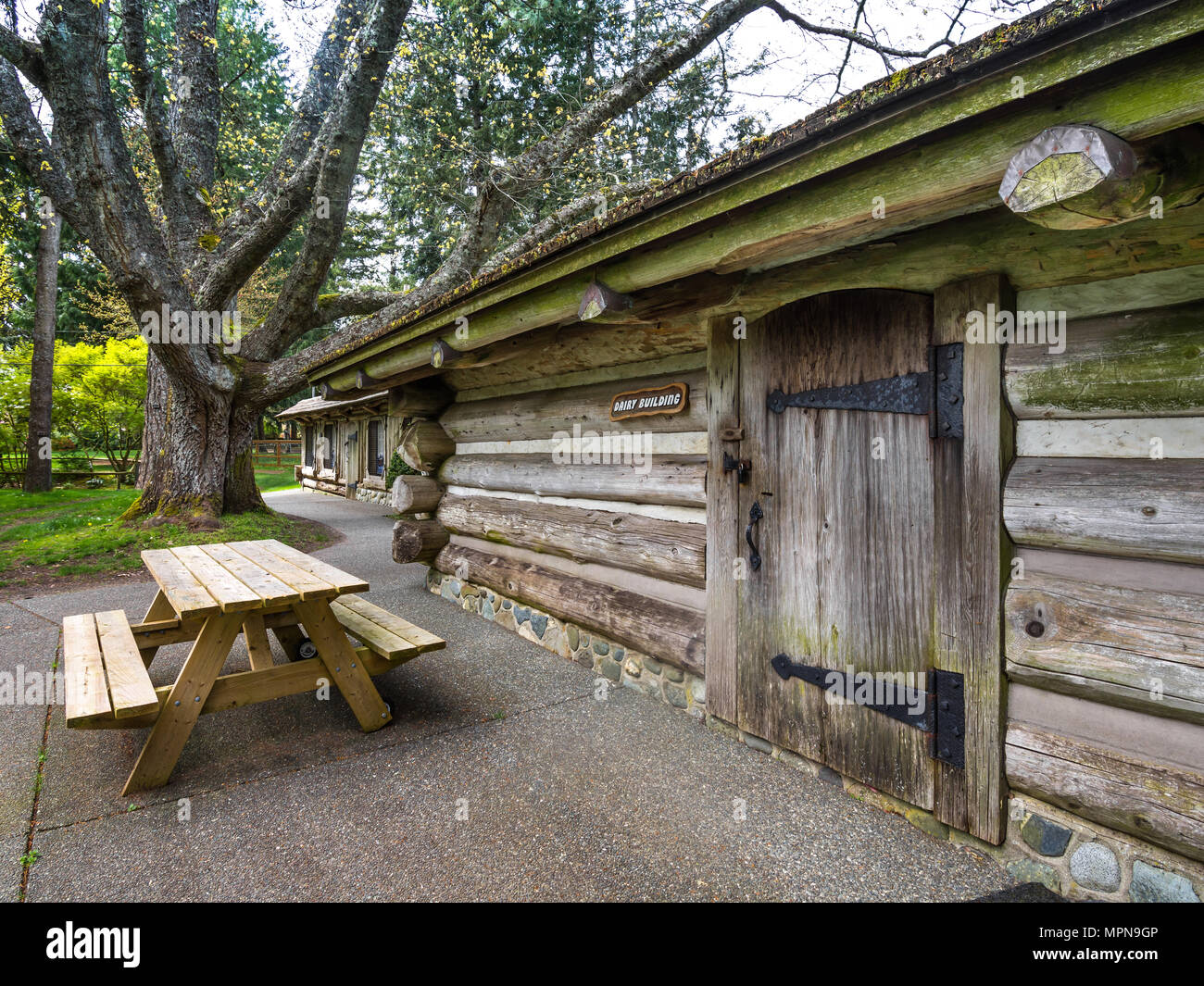 Log Cabin en Filbert Park, Comox, C.-B., Canada. Banque D'Images