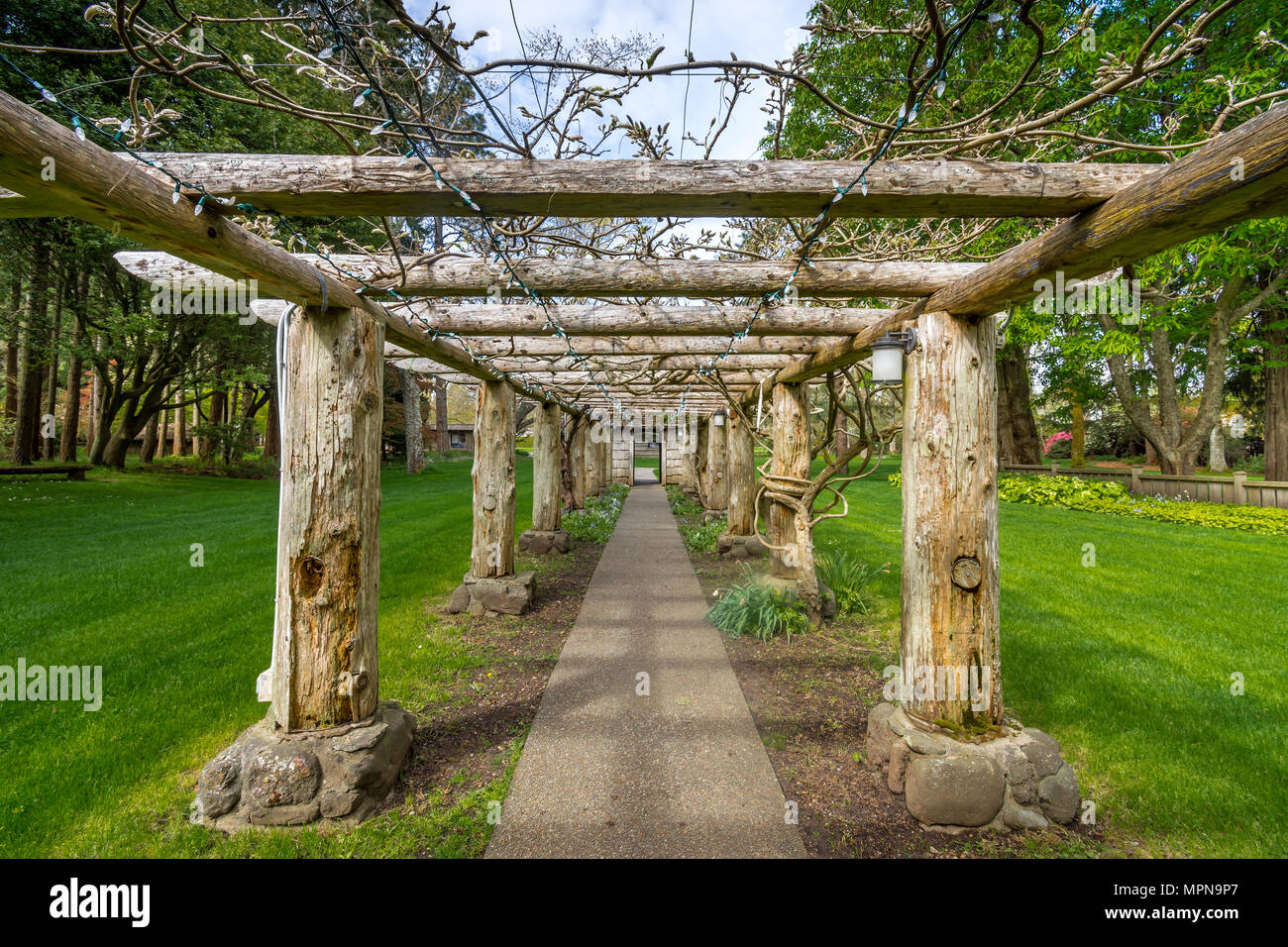 Arbour dans Parc bois Filbert, Comox, C.-B., Canada. Banque D'Images