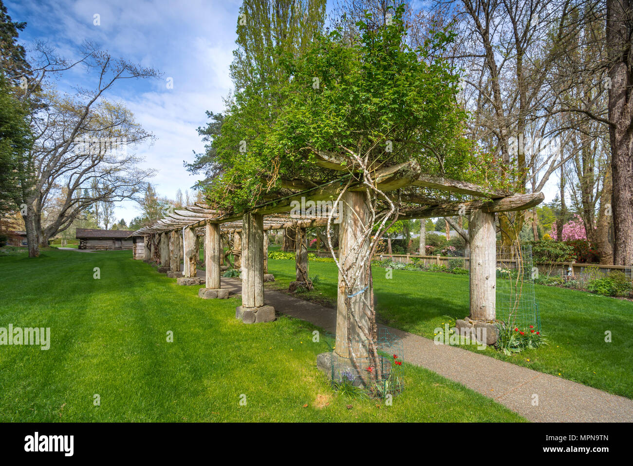Arbour dans Parc bois Filbert, Comox, C.-B., Canada. Banque D'Images