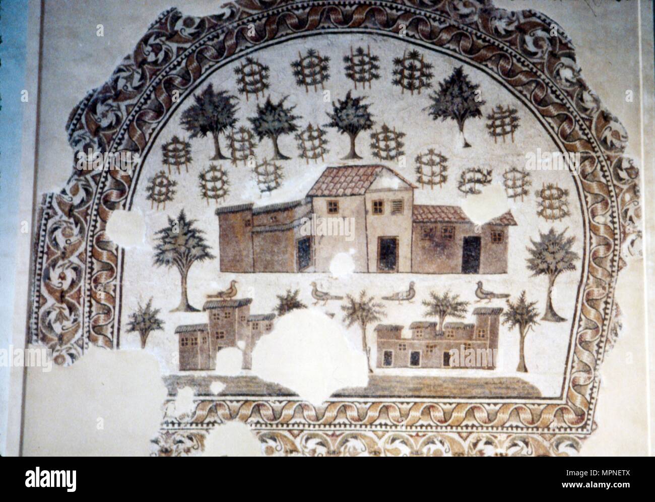 Mosaïque romaine de la Villa romaine d'arbres et de vignes, c 3 siècle. Artiste : Inconnu. Banque D'Images