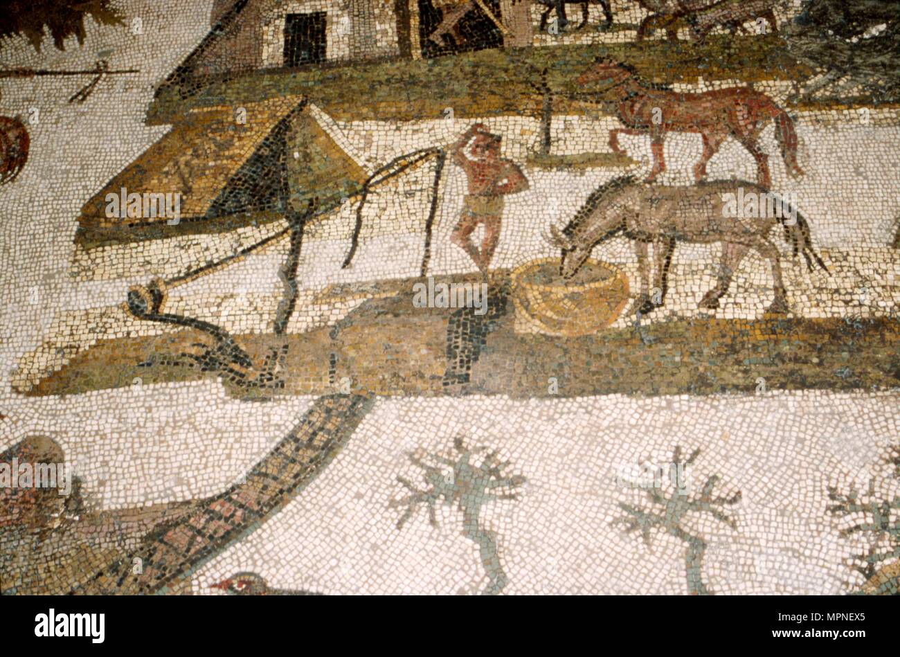 Mosaïque romaine de chevaux boire, c2e-3ème siècle : Artiste inconnu. Banque D'Images