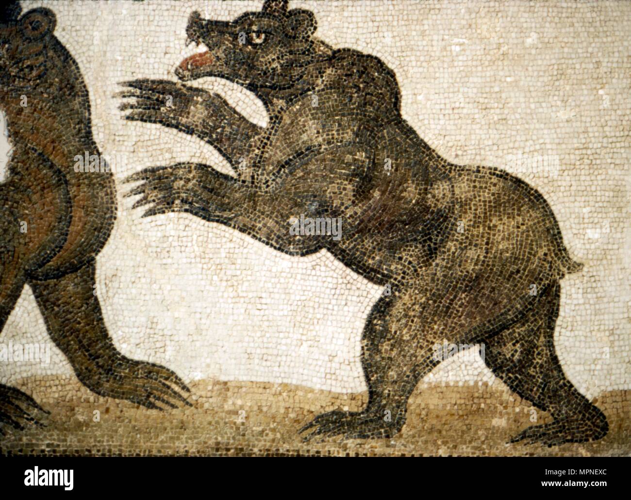 Lutte contre l'ours, détail de mosaïque romaine, d'Utica, Tunisie, c 3 siècle. Artiste : Inconnu. Banque D'Images