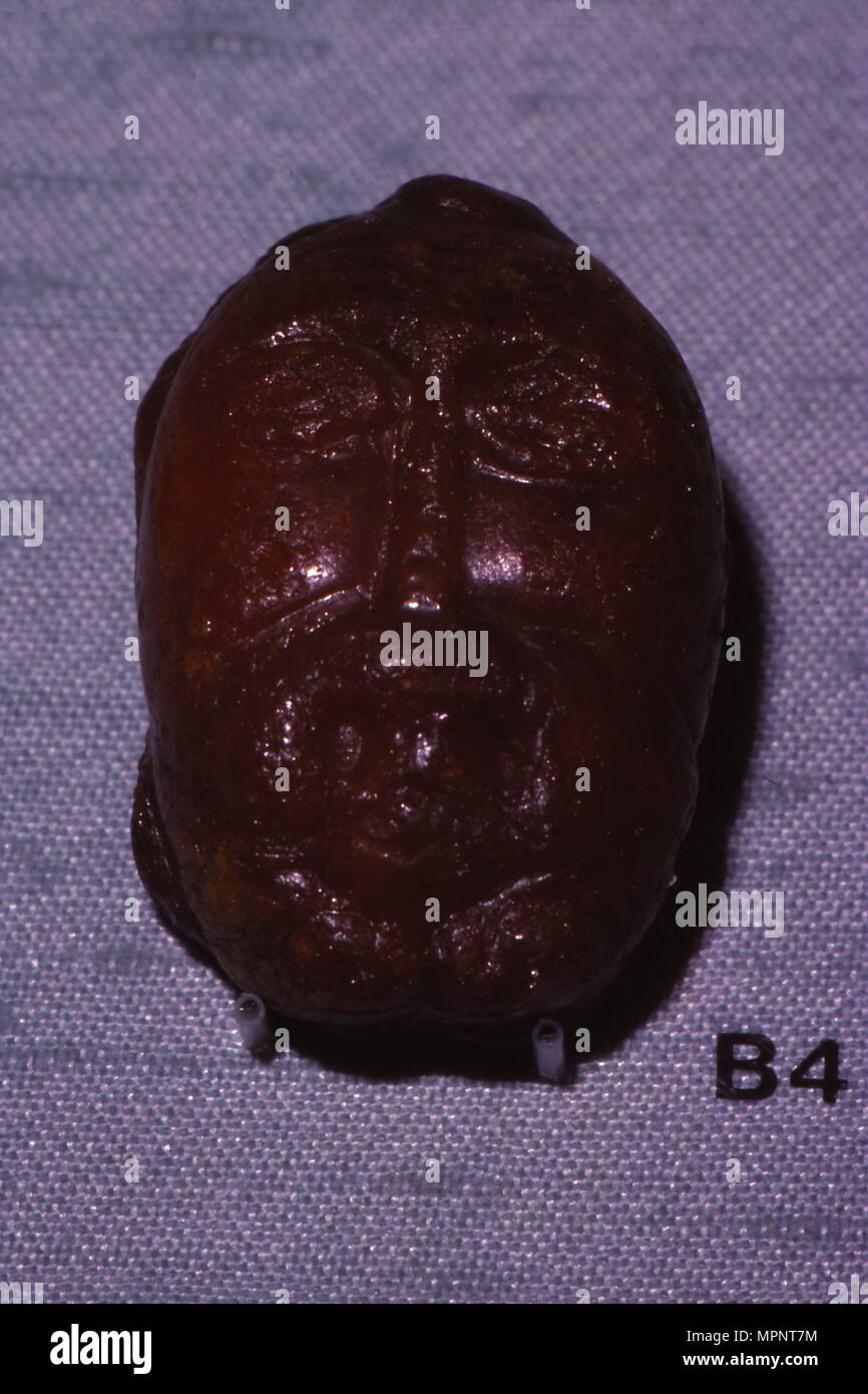 La tête d'ambre d'un homme barbu, période viking, de Danemark, c8th-milieu 11e siècle. Artiste : Inconnu. Banque D'Images