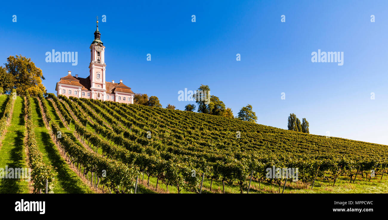 Allemagne, Bade-Wurtemberg, le lac de Constance , Basilique Birnau et vignoble Banque D'Images