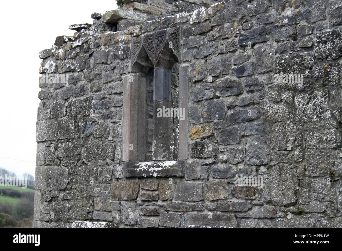 Fenêtre en Kilcorban cimetière historique et ancienne abbaye dominicaine ruines, Kilcorban, Portumna, comté de Galway, Irlande Banque D'Images