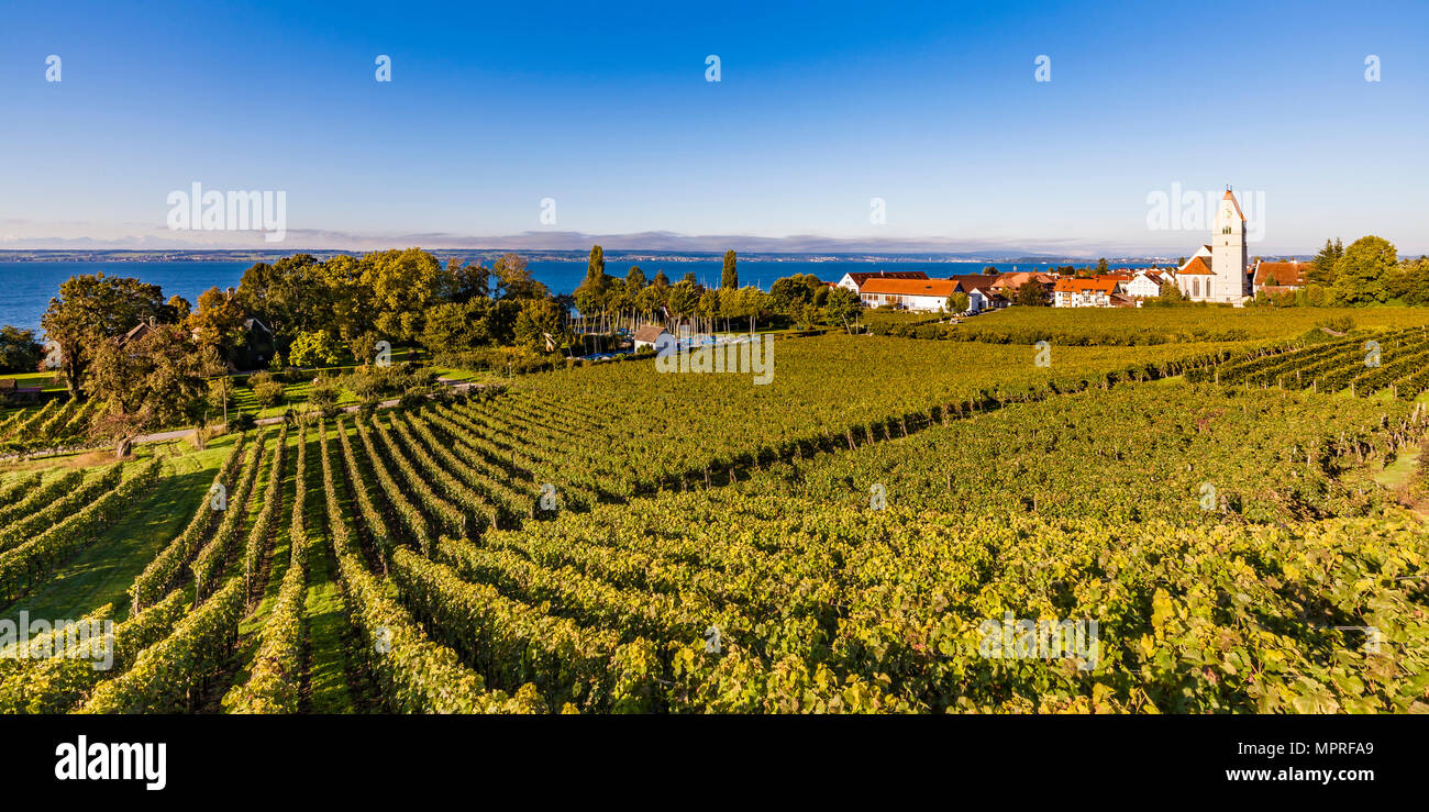 Allemagne, Bade-Wurtemberg, Immenstaad am Bodensee, le lac de Constance, l'Église et le vignoble Banque D'Images