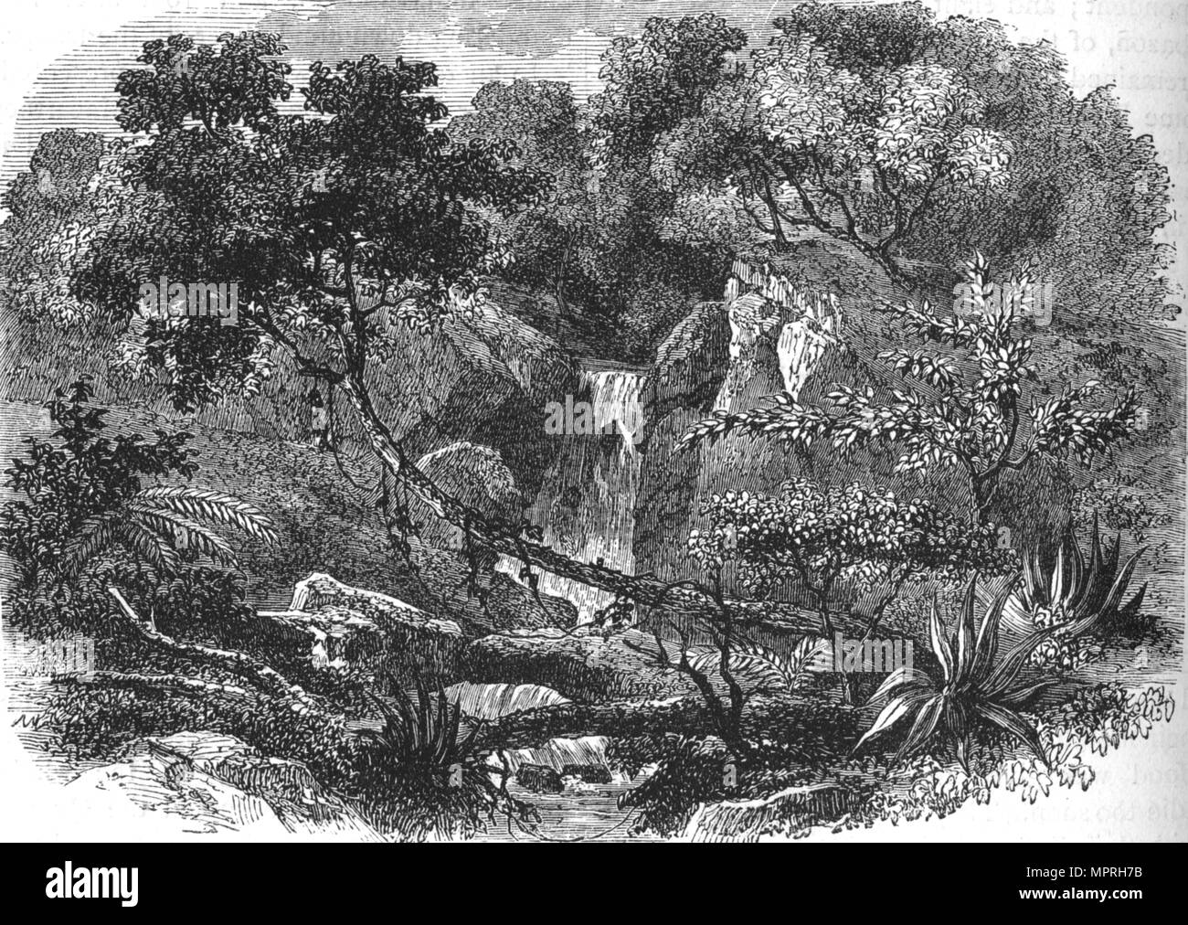 'Nouvelle Zélande Paysage', c1880. Artiste : Inconnu. Banque D'Images