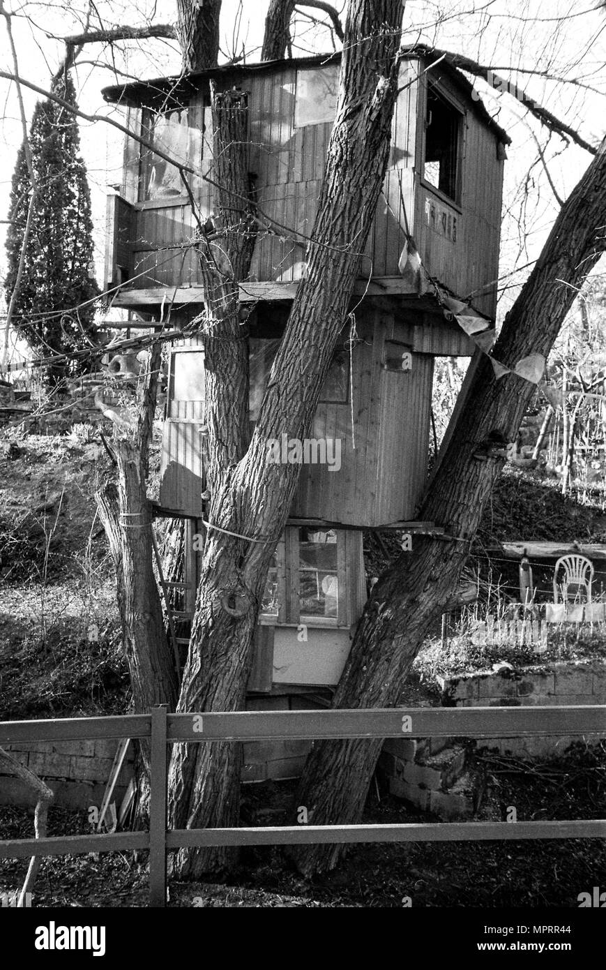 Artistes tree house, Grinzing, forestiers Vienne, Vienne , Autriche. Banque D'Images