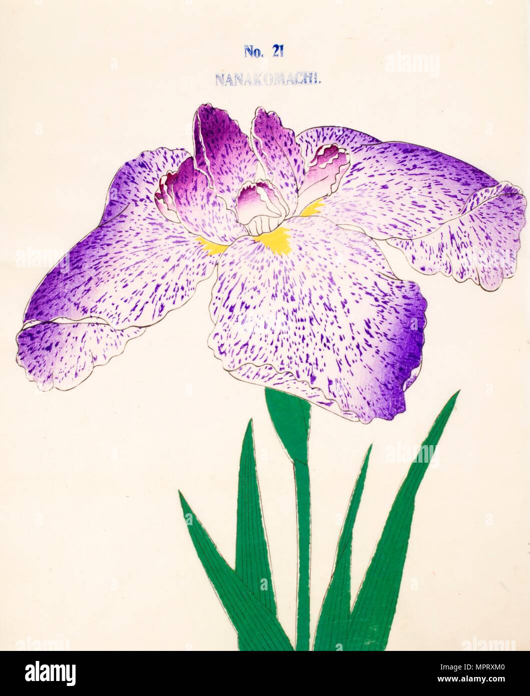 Nanakomachi, n° 21, 1890, gravure sur bois (couleur) Banque D'Images