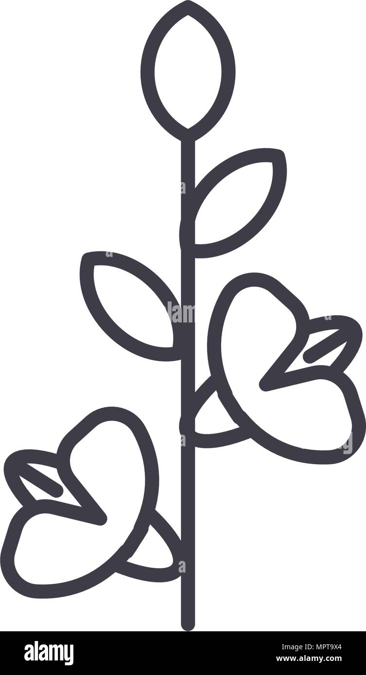 Gladiola icône ligne concept. Gladiola télévision vector signe, symbole, l'illustration. Illustration de Vecteur