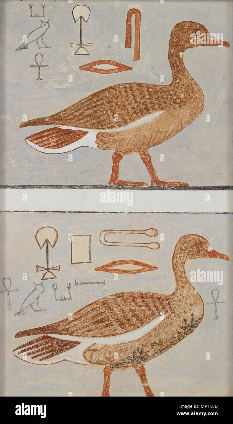 Copie de la peinture murale d'un tombeau de Kaemankh, (III, 1, 132), Giza, oies, 20e siècle. Artiste : Anna (NINA) Macpherson Davies. Banque D'Images