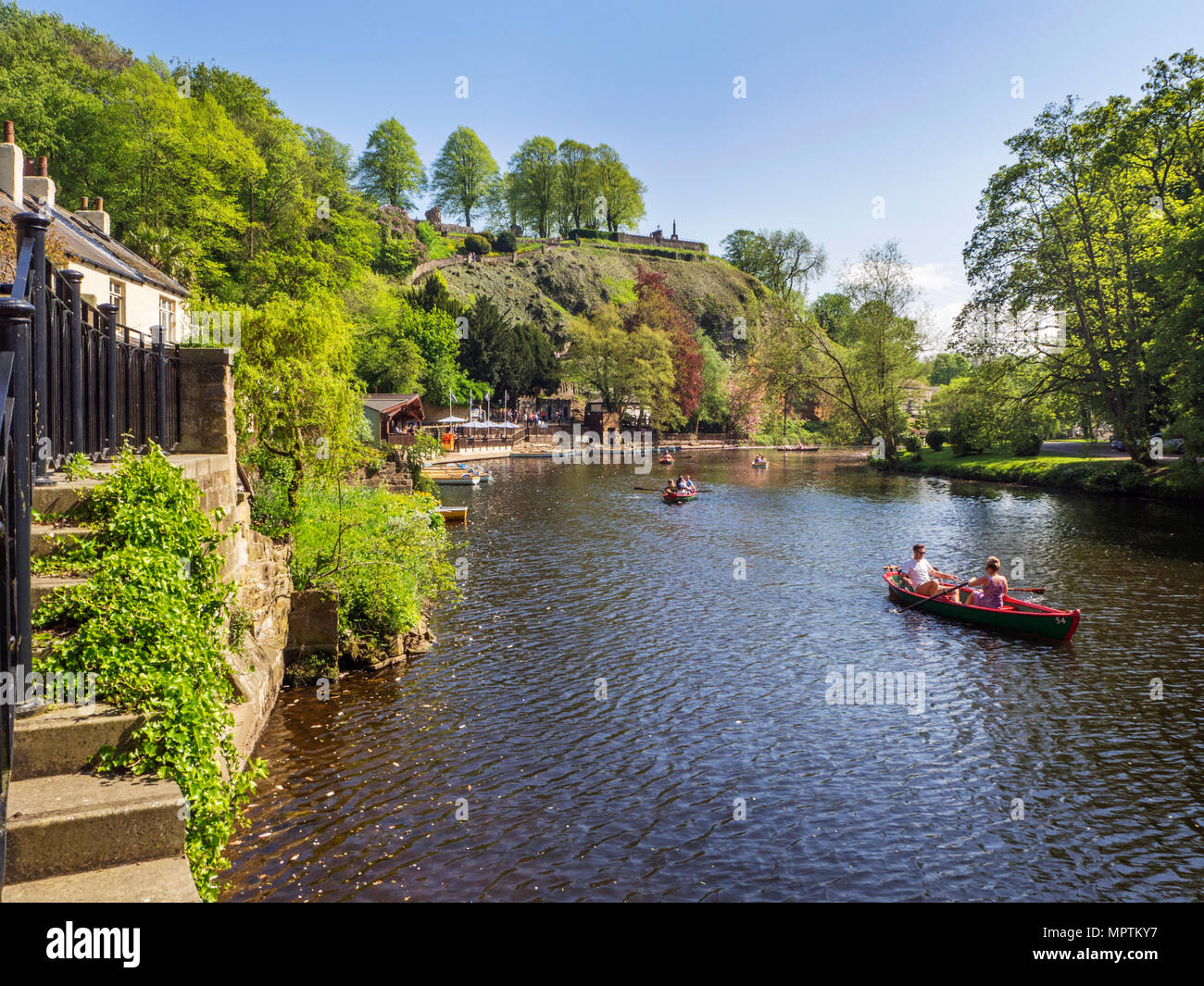 De l'aviron sur la rivière Nidd au printemps à North Yorkshire Angleterre Knaresborough Banque D'Images