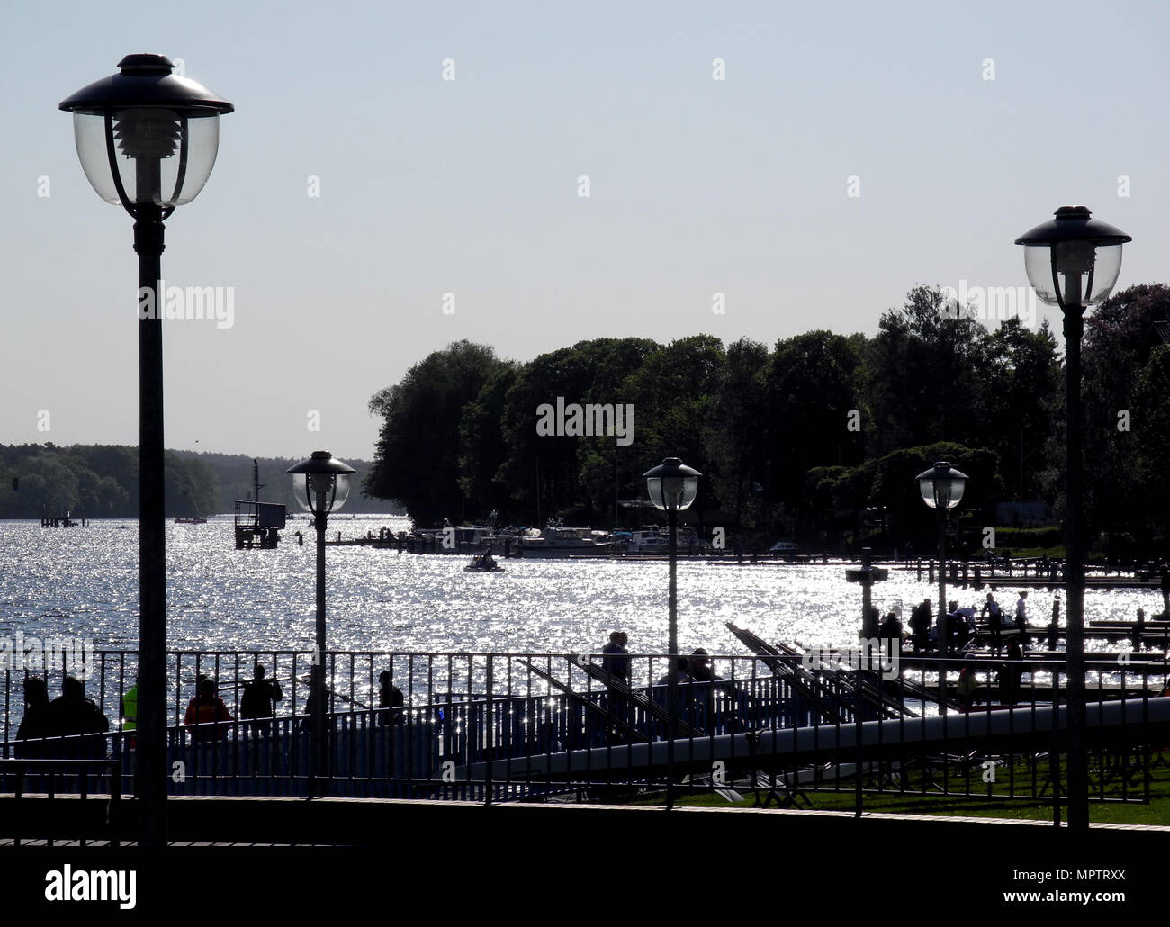 Berlin-Grünau. L'Allemagne. 1936 Bassin olympique d'Aviron, Lander [Voir] Dahme, Berlin, Treptow-Köpenick GV. Silhouettes vues générales à l'Frühregatta, © Peter SPURRIER, Banque D'Images