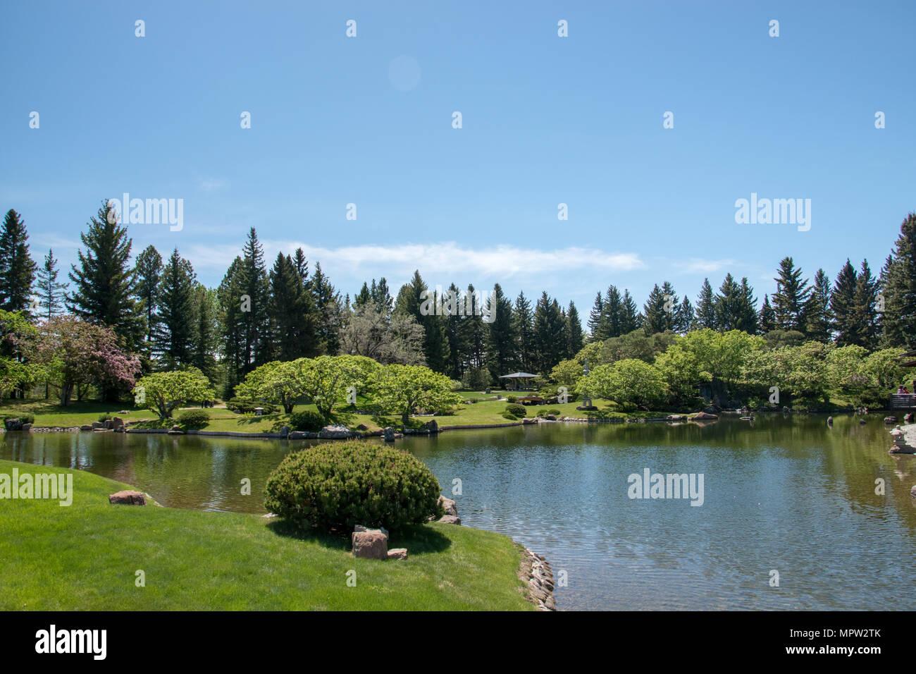 Vue sur l'étang dans le jardin japonais Nikka Yuko à Lethbridge, Alberta a ouvert ses portes en 1967. Tous les composants ont été construites à Kyoto, au Japon, et assemblé dans le ga Banque D'Images