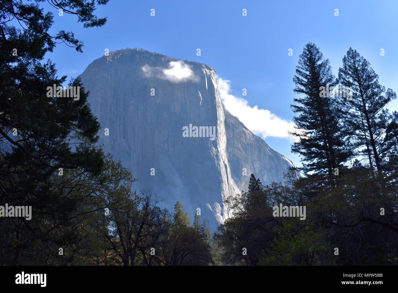 Bonjour El Capitan, Yosemite National Park, Californie Banque D'Images