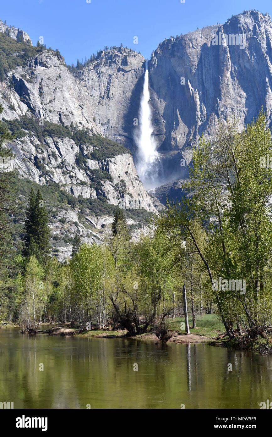 Chutes de Yosemite vu sur la rivière Merced, Yosemite National Park, Californie Banque D'Images