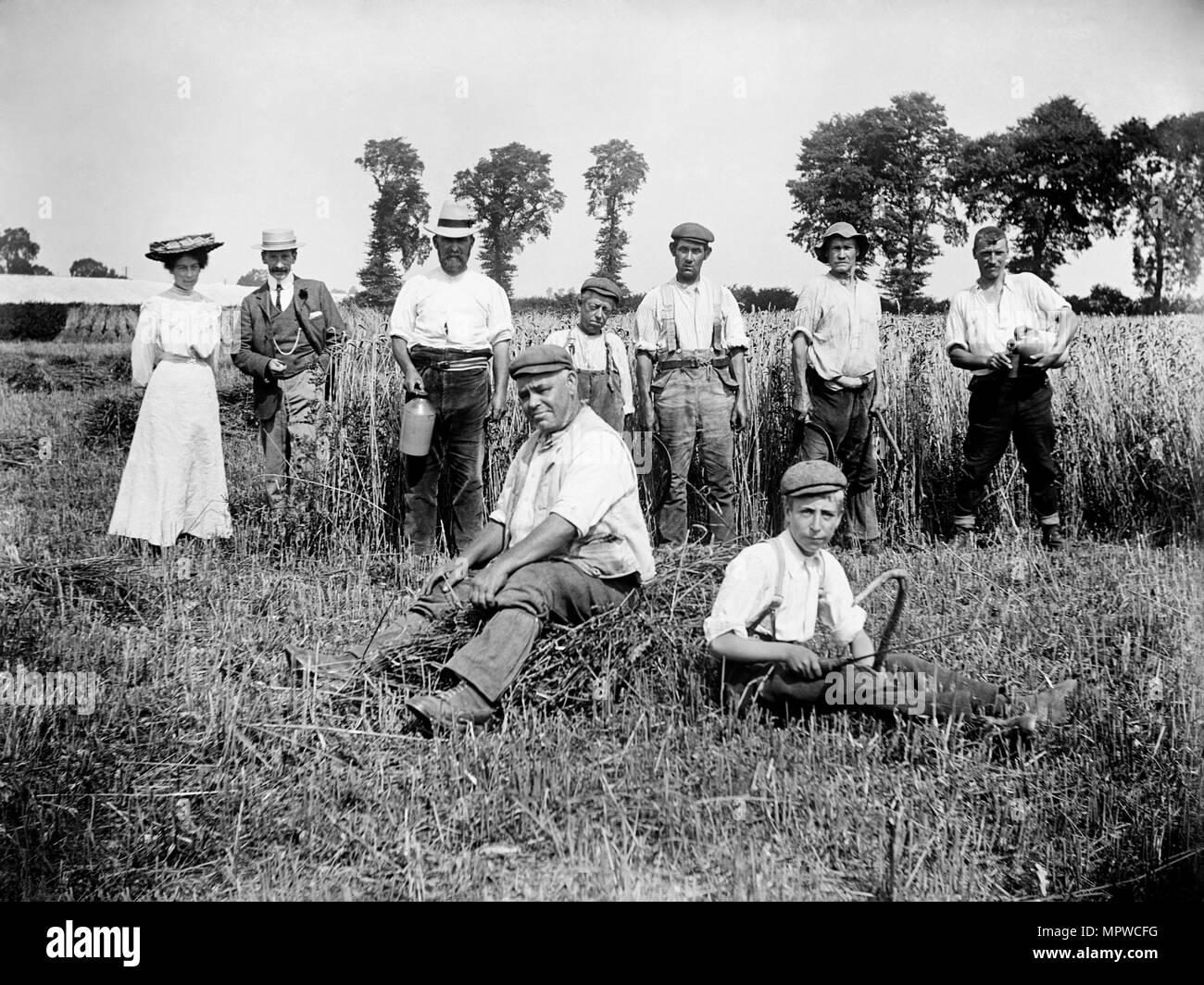 Moment de la récolte, Cadsden, près de Princes Risborough, Buckinghamshire, 1903. Artiste : Alfred Newton & Sons. Banque D'Images