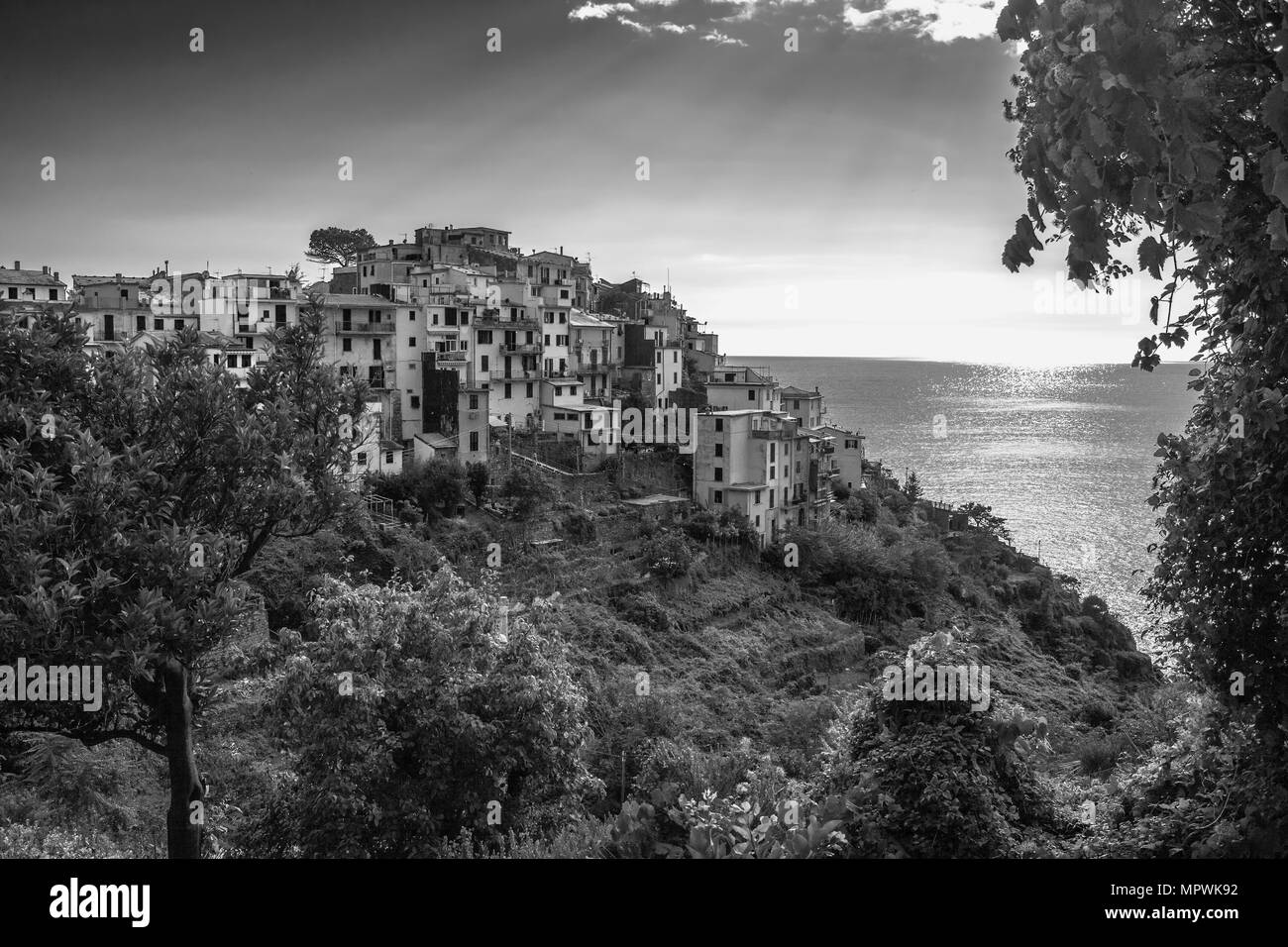 Corniglia et la vallée menant à la Marina di Corniglia, un port miniature, Cinque Terre, Ligurie, Italie : version noir et blanc Banque D'Images