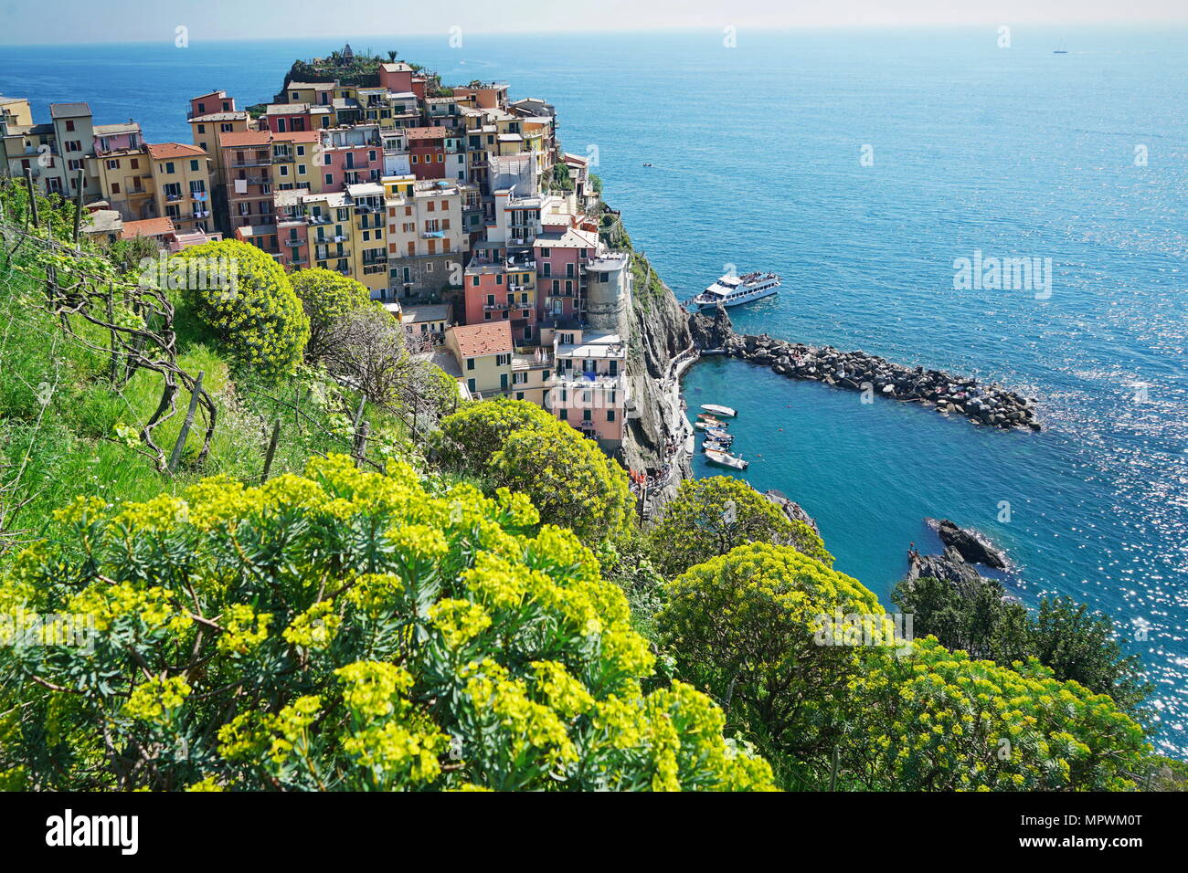 Belle vue sur la ville de Manarola. Est l'un des cinq villages colorés du célèbre Parc National des Cinque Terre en Italie Banque D'Images