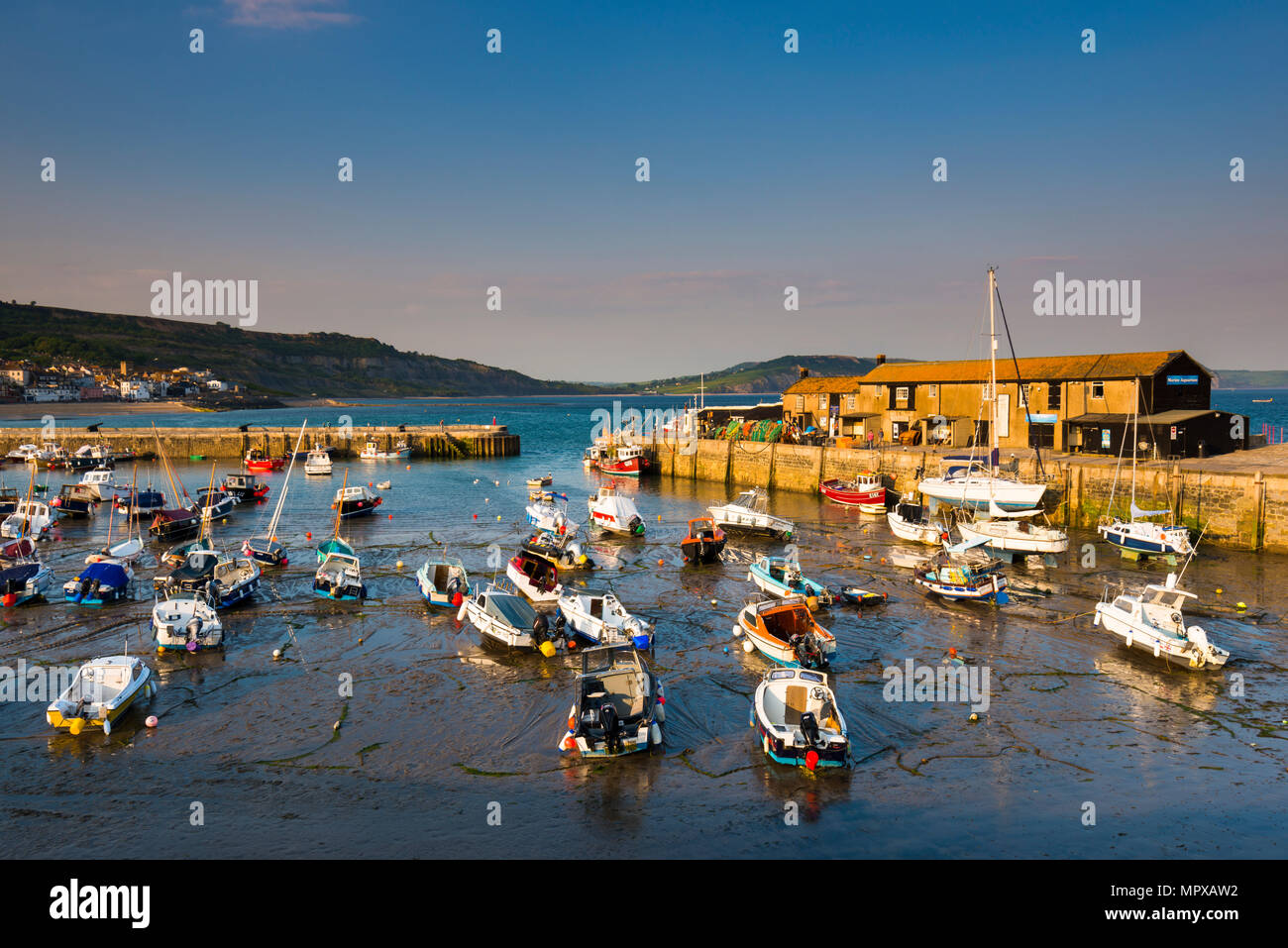 Tard en soirée le soleil et ciel bleu au port de Cobb à Lyme Regis sur la côte jurassique du Dorset, le 23 mai 2018. Crédit photo : Graham Hunt/ Banque D'Images