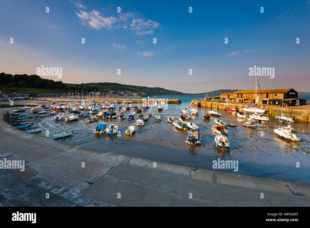 Tard en soirée le soleil et ciel bleu au port de Cobb à Lyme Regis sur la côte jurassique du Dorset, le 23 mai 2018. Crédit photo : Graham Hunt/ Banque D'Images