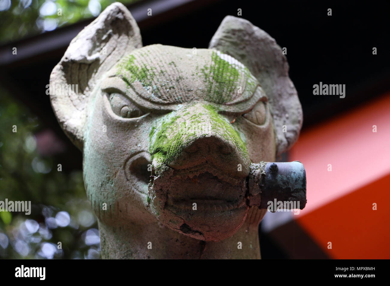 Gros plan du visage d'un fox statue au sanctuaire Fushimi-Inari à Kyoto, Japon Banque D'Images