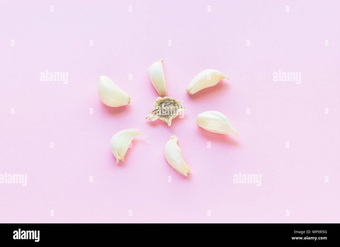 En forme de gousses d'ail en forme de fleur sur fond rose Banque D'Images