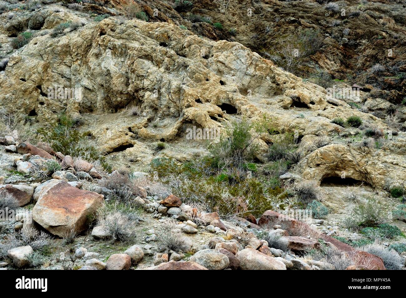 Narrows Trail de la Terre, la roche sédimentaire, grottes, rochers, holey Anza-Borrego Desert State Park, CA 050108 1989 Banque D'Images