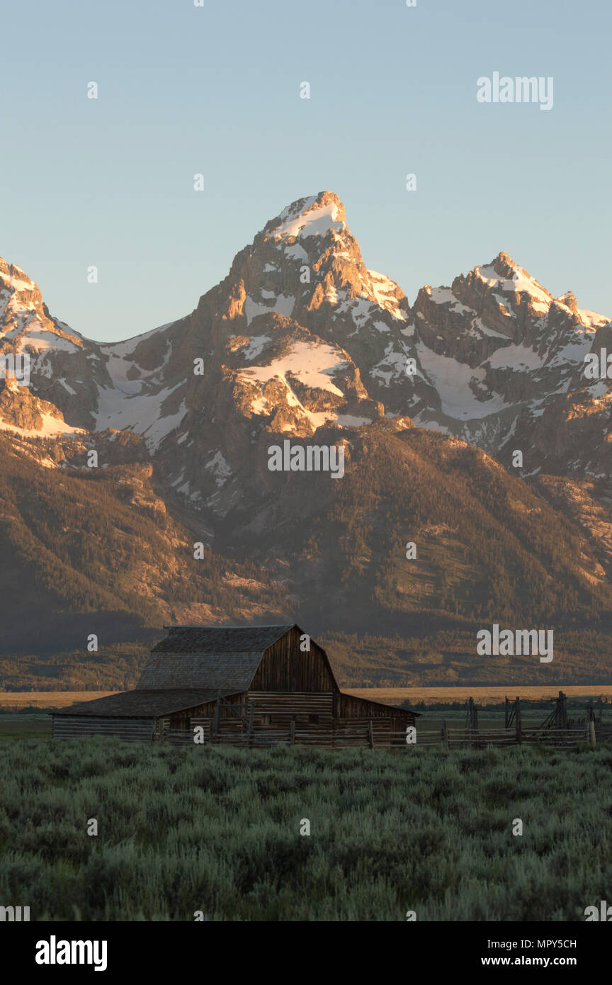 Grange sur terrain herbeux contre la montagne couverte de neige à Grand Teton National Park pendant le coucher du soleil Banque D'Images