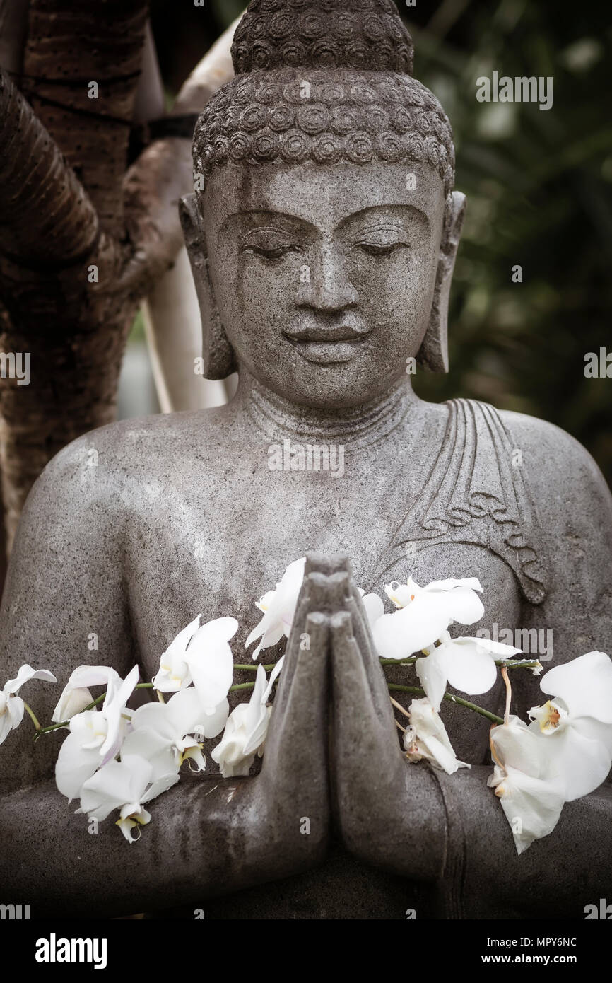 Close-up of flowers on statue de Bouddha Banque D'Images