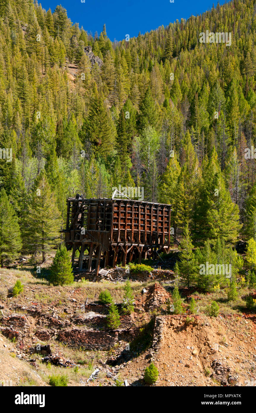 Custer Ghost Town ore bin, terre de la zone historique de La Fourche Yankee Custer, autoroute, Salmon-Challis National Forest, North Carolina Banque D'Images