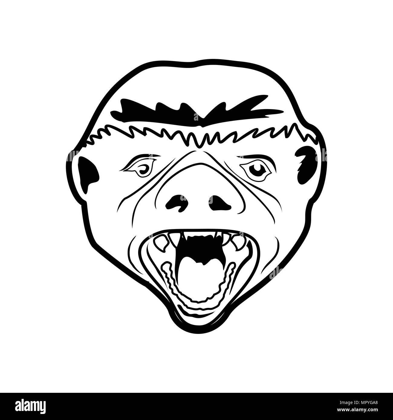 La tête du blaireau vecteur Illustration Graphic Design Logo Symbole Illustration de Vecteur