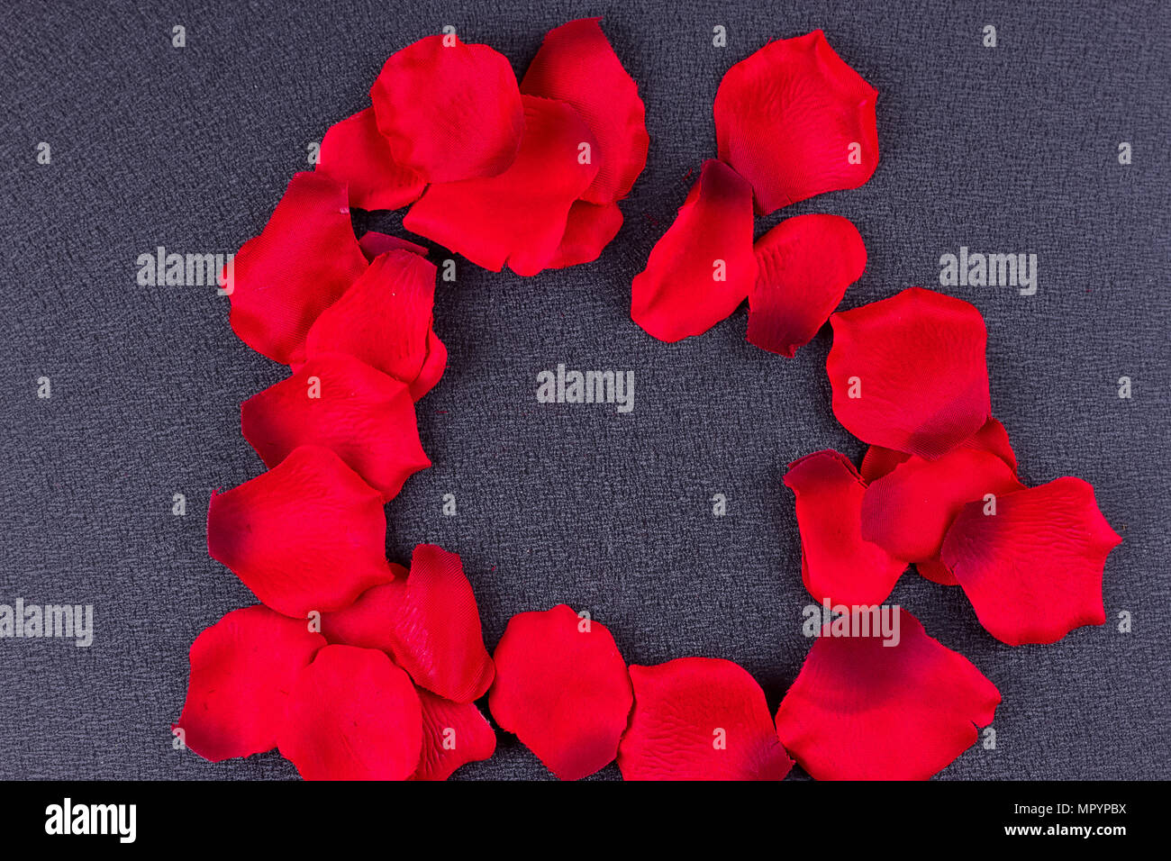 Pétales de roses rouges artificielles châssis fond noir Banque D'Images