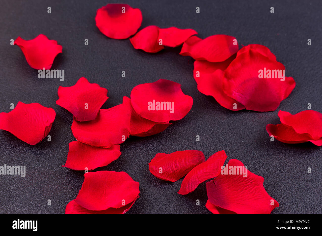Pétales de roses rouges artificielles châssis fond noir Banque D'Images