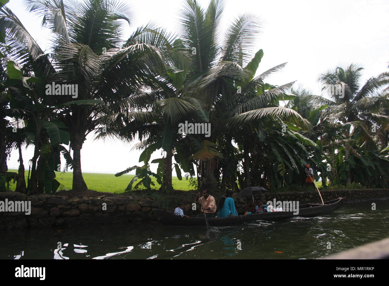 Canoë avec les populations locales sur l'eau dormante Keralan, Inde Banque D'Images