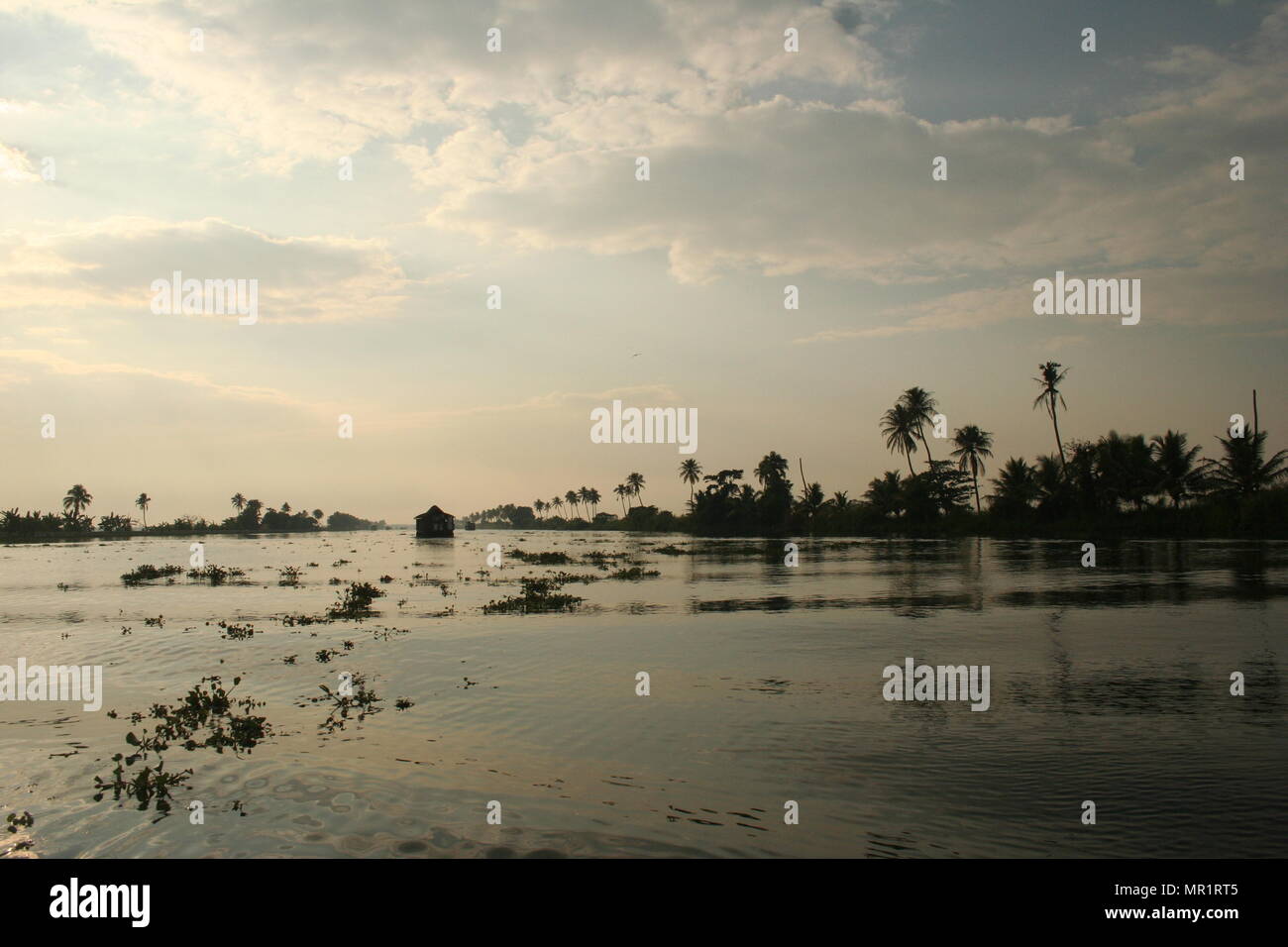 Voile et de palmiers se découpant sur les eaux dormantes, Keralan Inde Banque D'Images
