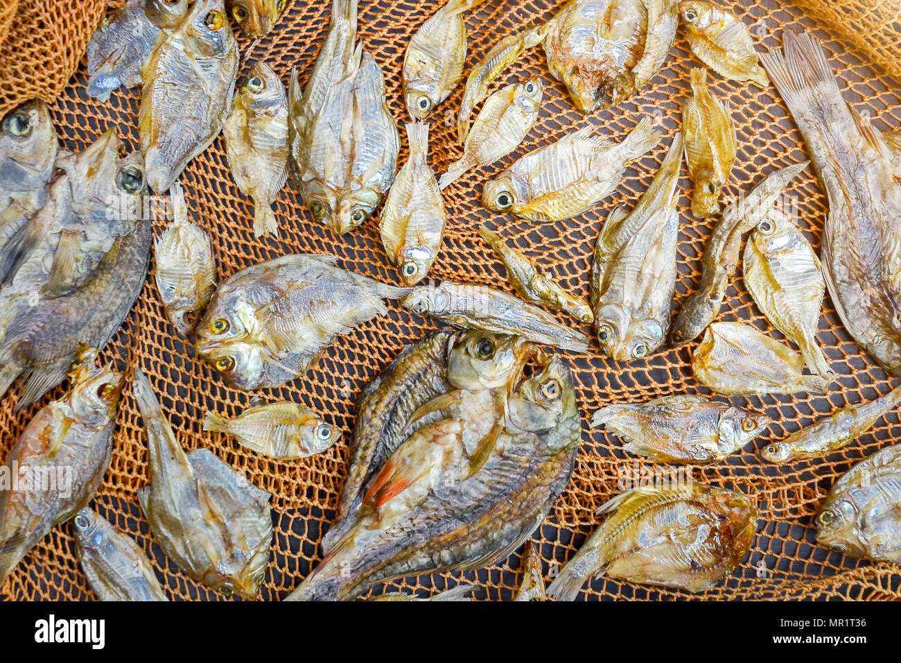 Le poisson sec et ensoleillé sur plancher en bois noir, de petits poissons séchés et le modèle de poisson séché, vue de dessus de sécher le poisson sur la table Banque D'Images