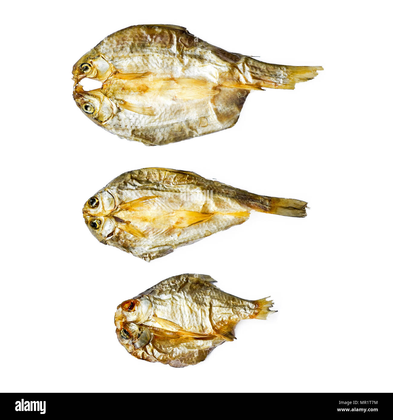 Sécher le poisson du soleil sur le fond blanc, motif de poisson séché et de petits poissons séchés, vue de dessus de sécher le poisson sur le fond blanc pour l'isolement d Banque D'Images