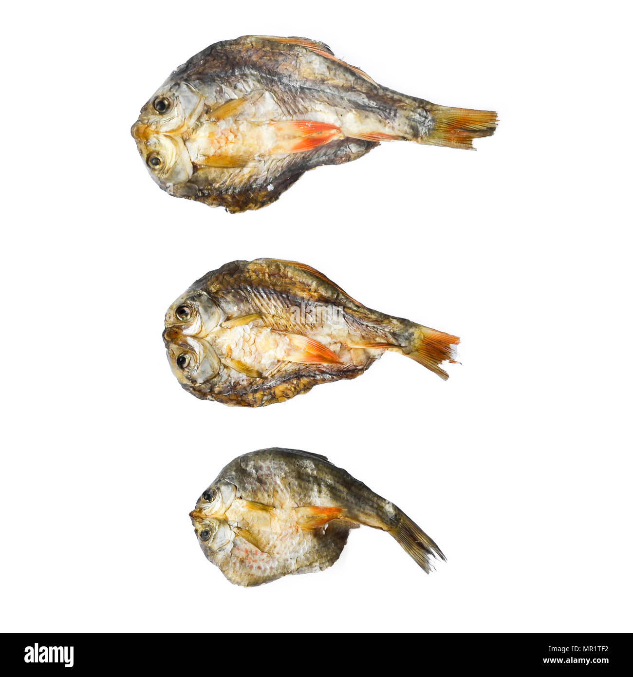Sécher le poisson du soleil sur le fond blanc, motif de poisson séché et de petits poissons séchés, vue de dessus de sécher le poisson sur le fond blanc pour l'isolement d Banque D'Images