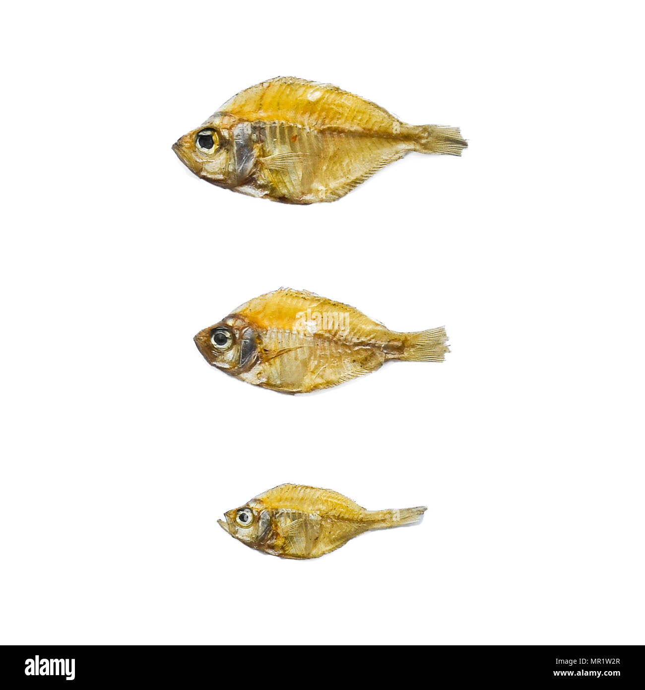 Sécher le poisson du soleil sur le fond blanc, motif de poisson séché et de petits poissons séchés, vue de dessus de sécher le poisson sur le fond blanc pour l'isolement d Banque D'Images