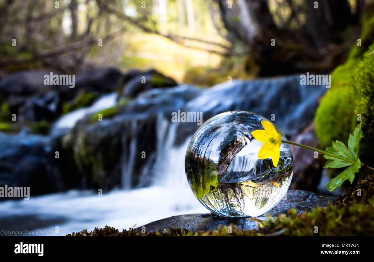 Réfraction boule de verre Banque de photographies et d’images à haute
