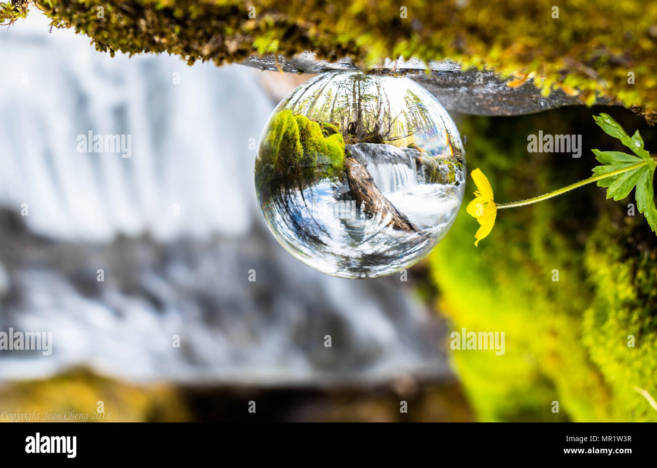 Réfraction boule de verre Banque de photographies et d’images à haute