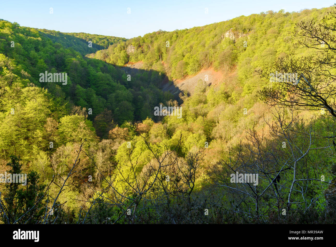 Dans la vallée du Rift le Soderasen parc national en Suède sur un matin ensoleillé. Forêt de hêtres couvrent la vallée et les collines et quelques pierriers est visible dans les pentes Banque D'Images