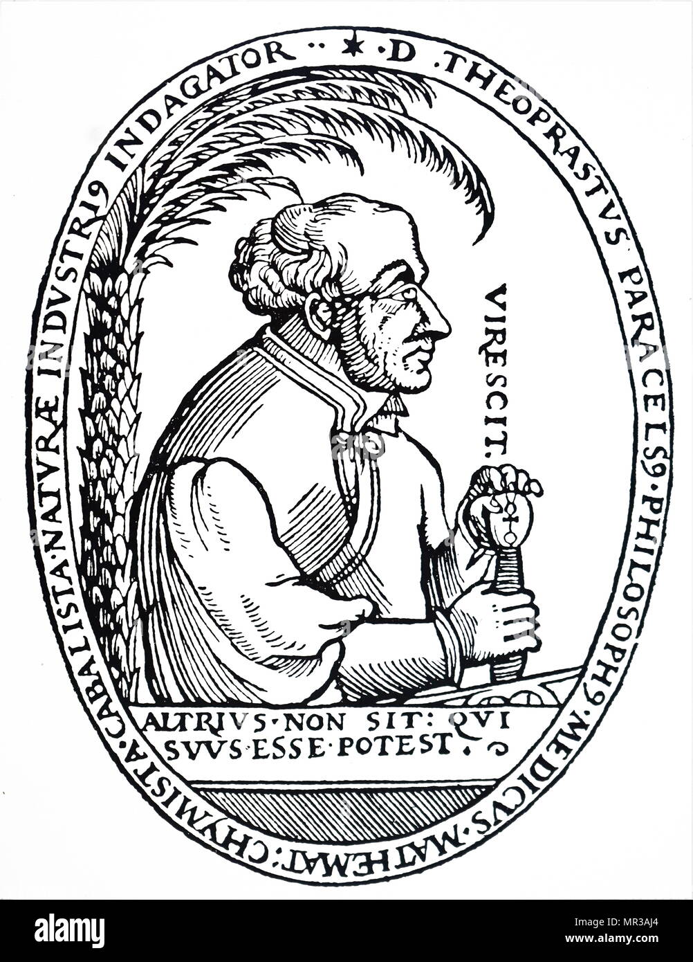 Portrait de Paracelse (1493-1541) un médecin suisse, alchimiste et astrologue de la Renaissance allemande. En date du 16e siècle Banque D'Images