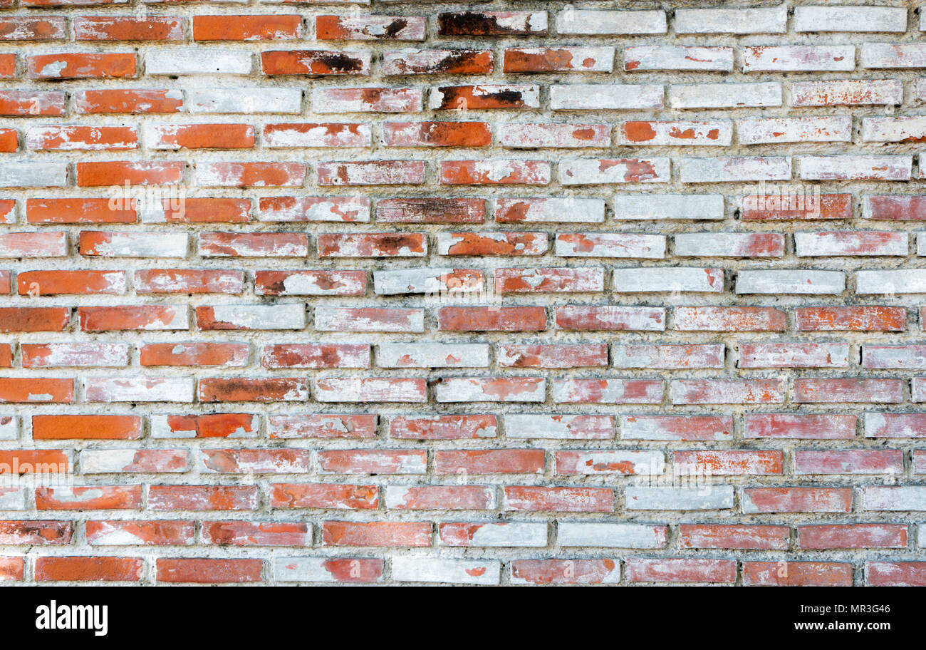 Vieux Mur de brique vide texture background with copy space. Plâtre Peeling texture. Vintage mur arrière-plan. Résumé pour bandeau web. Banque D'Images