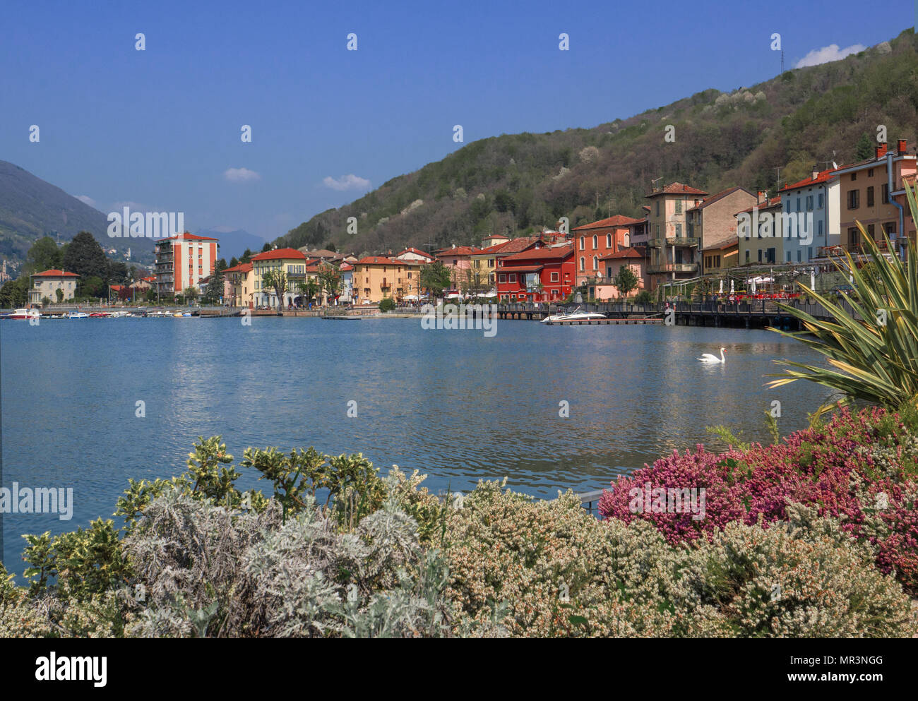 Maisons colorées à Porto Ceresio village station balnéaire populaire sur le lac de Lugano, Italie Banque D'Images