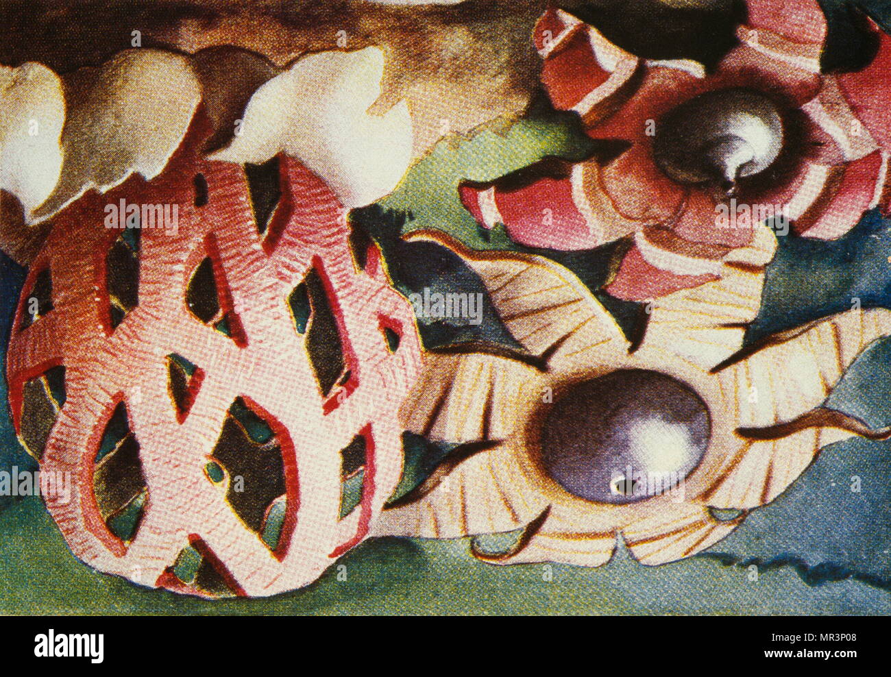 Les champignons 1983. Illustration par José Juan Tablada (1871 - 1945) poète mexicain, critique d'art et d'artiste surréaliste, Banque D'Images
